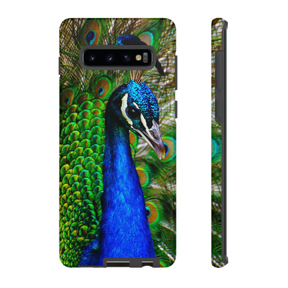 Parading Peacock - Tough Cases