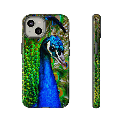 Parading Peacock - Tough Cases