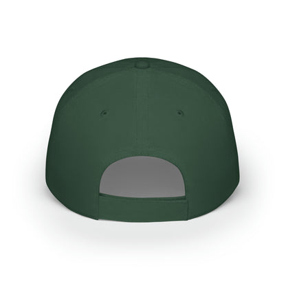 Nifty Ducks Co. Logo2 - Pride colors - Low Profile Baseball Cap