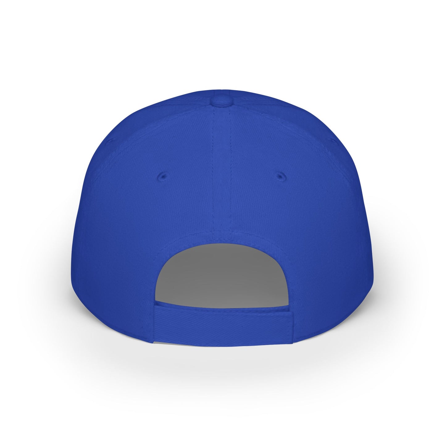 Nifty Ducks Co. Logo2 - Low Profile Baseball Cap