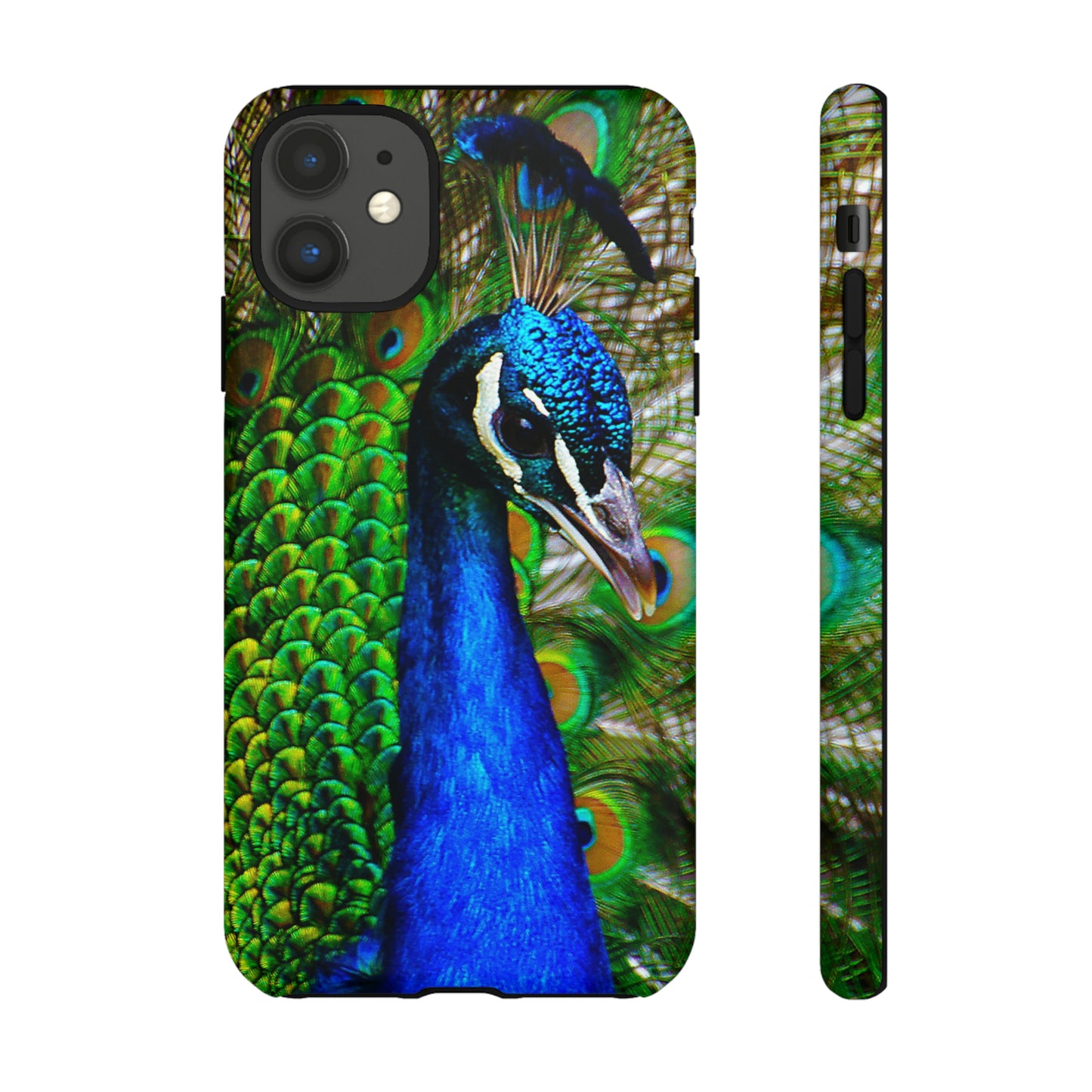 Parading Peacock - Tough Cases